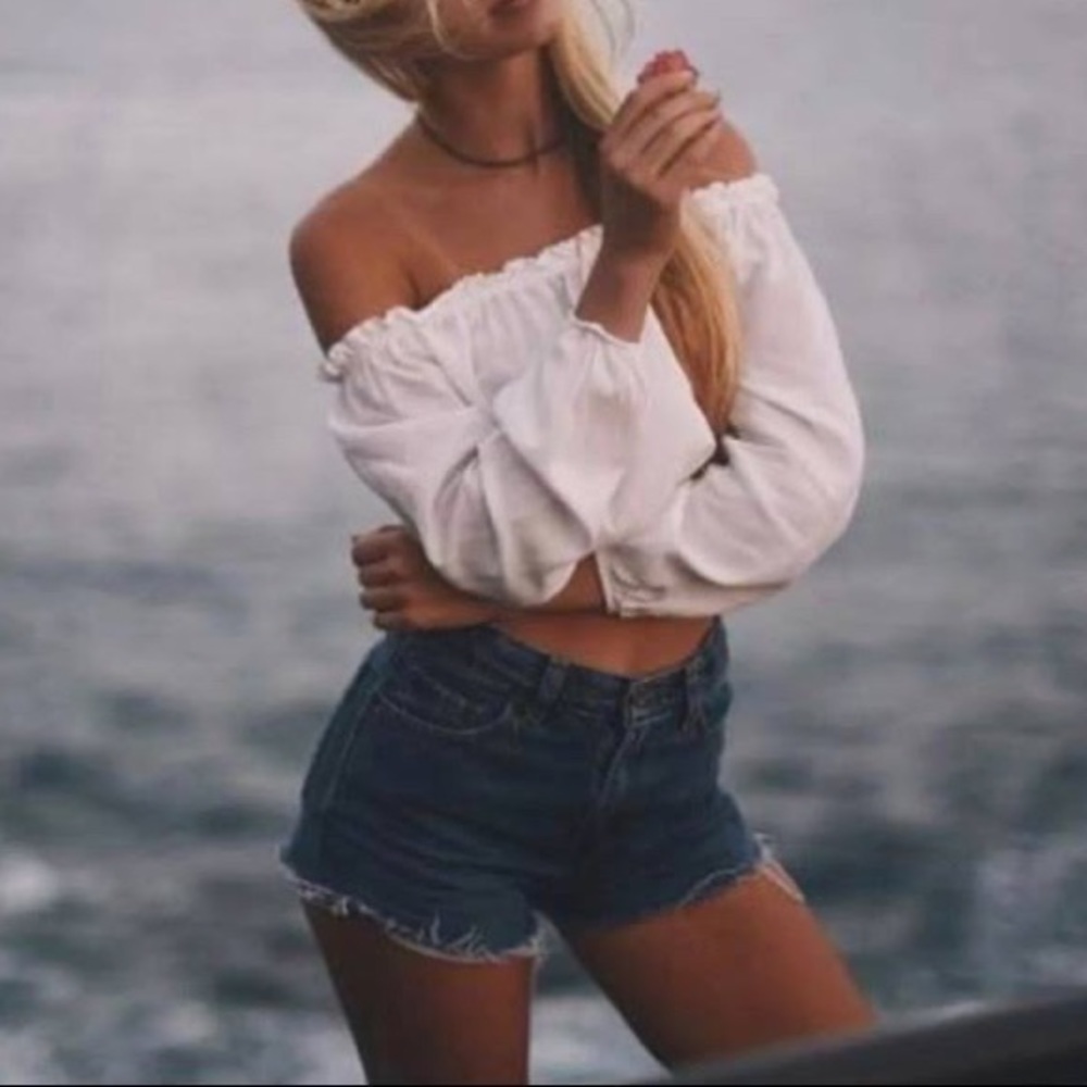 Brandy Melville Off The Shoulder Long Sleeve Crop Top